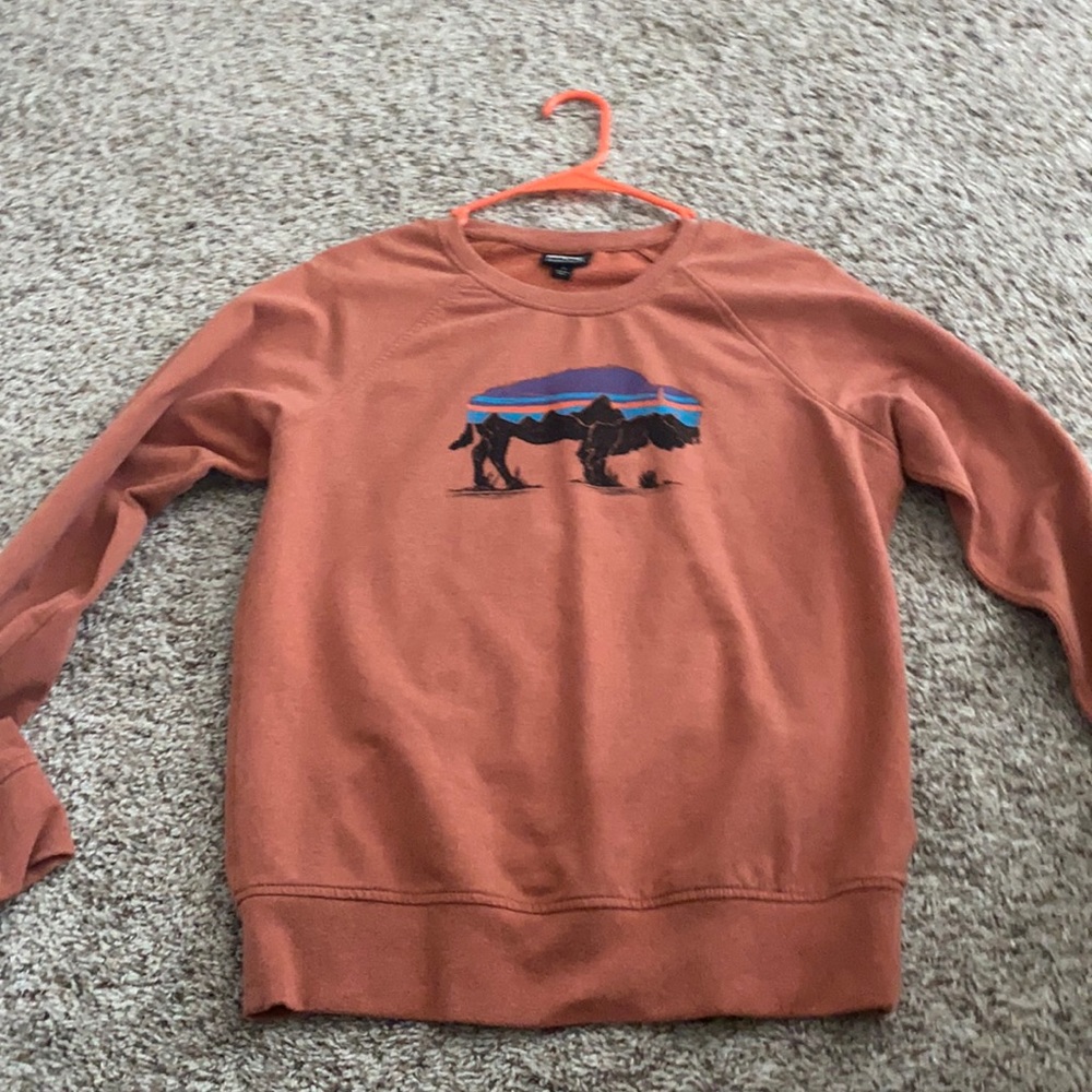Patagonia sweatshirt